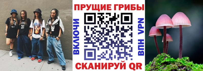 Купить закладки  Ряжск  Псилоцибиновые грибы Psilocybe 